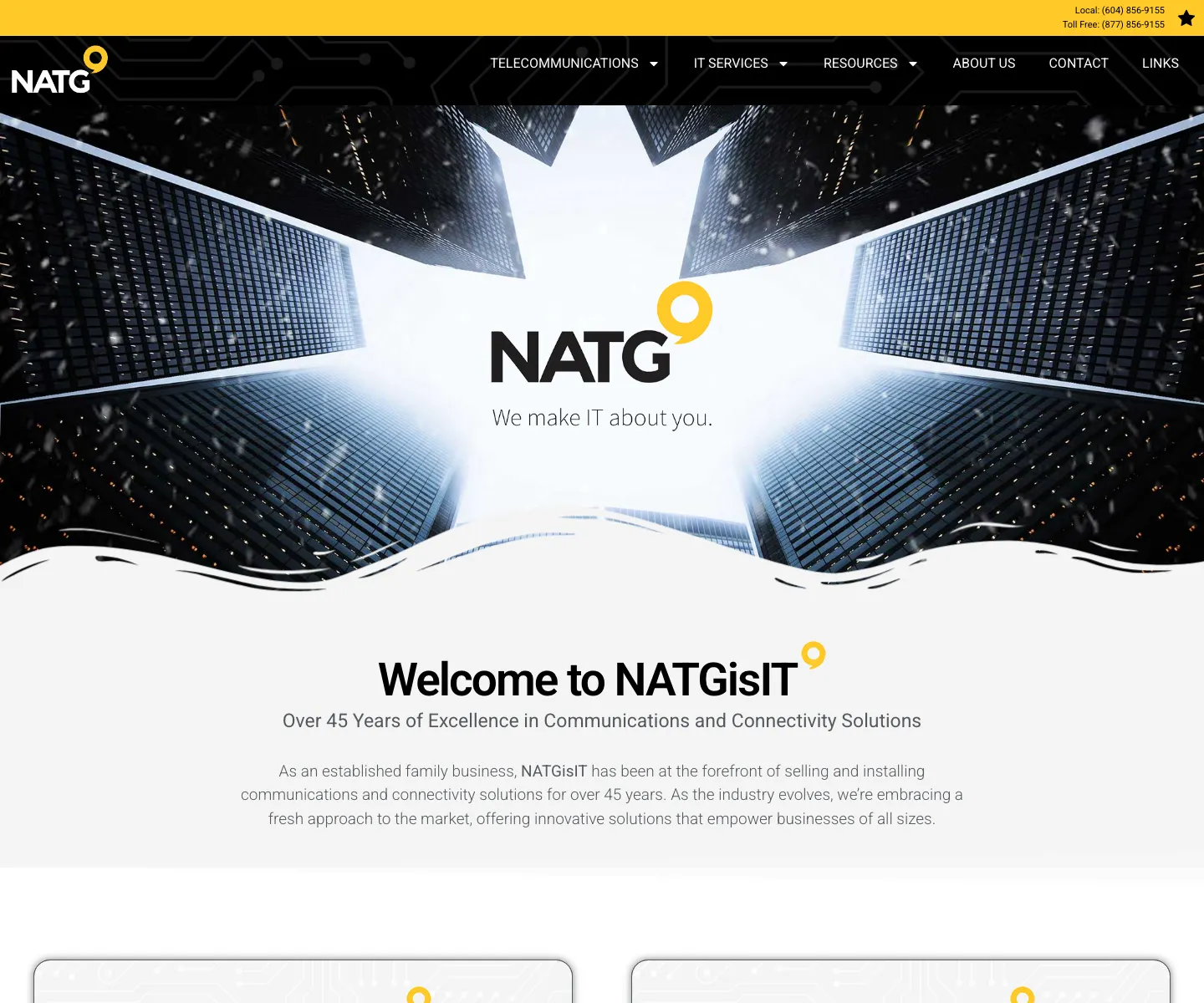 NATGisIT website designed by IIAS for telecom and IT services in BC