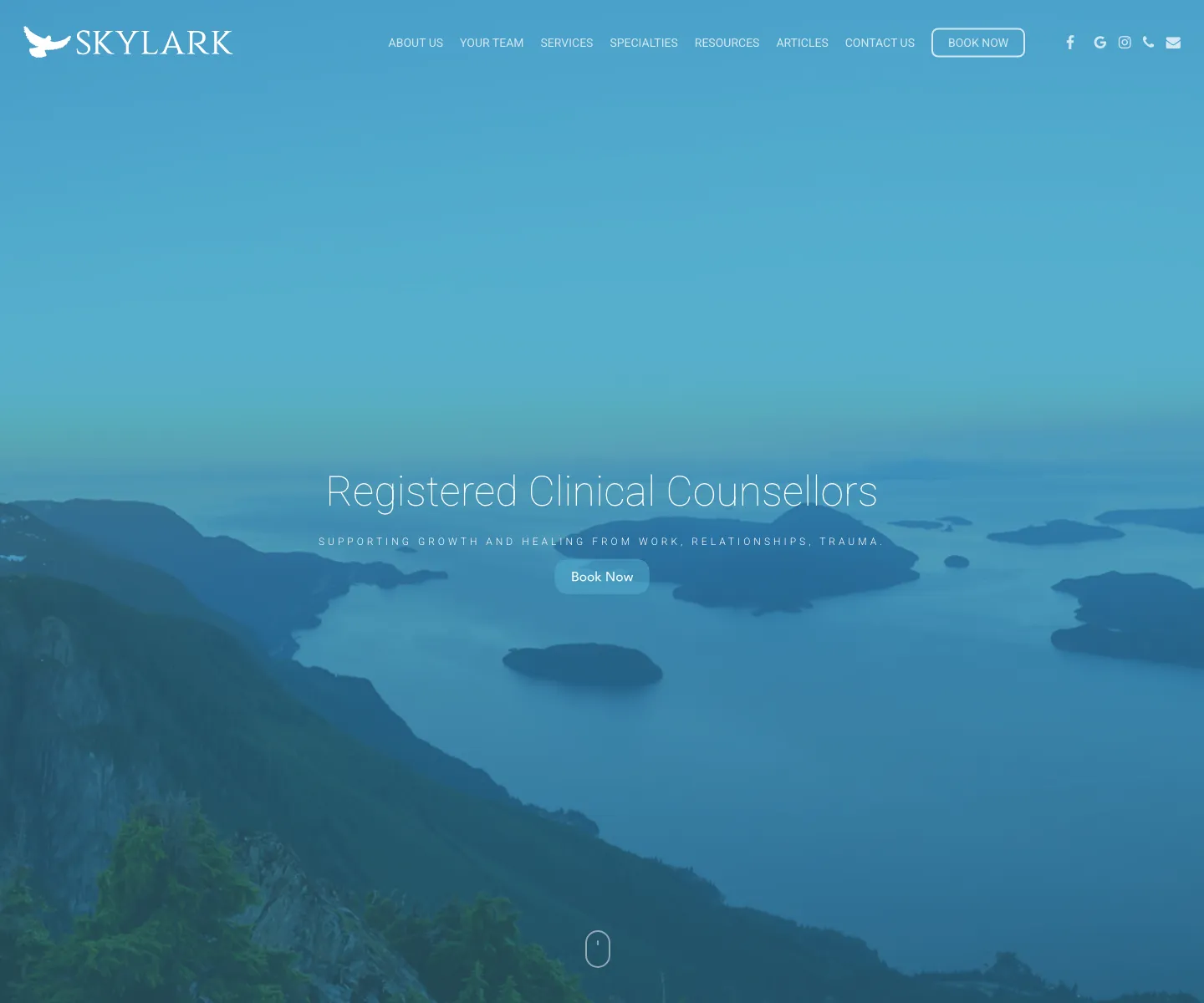 Skylark Counselling Clinic website on desktop