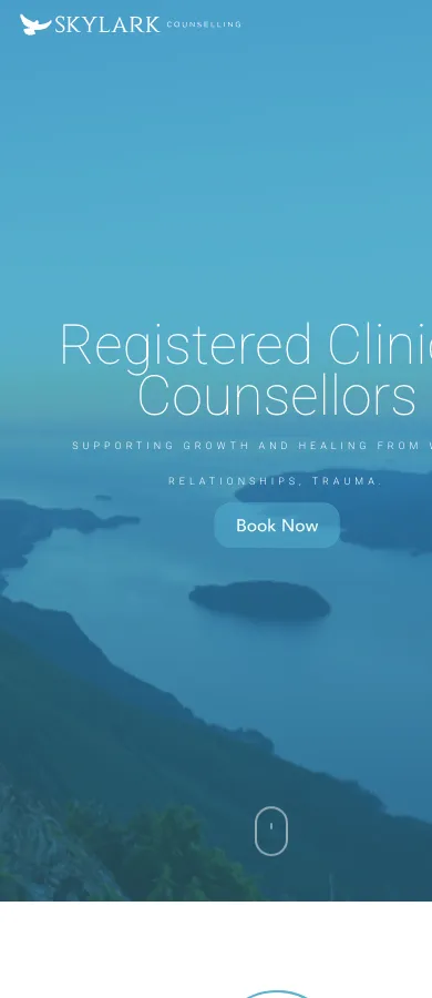 Skylark Counselling Clinic website on mobile