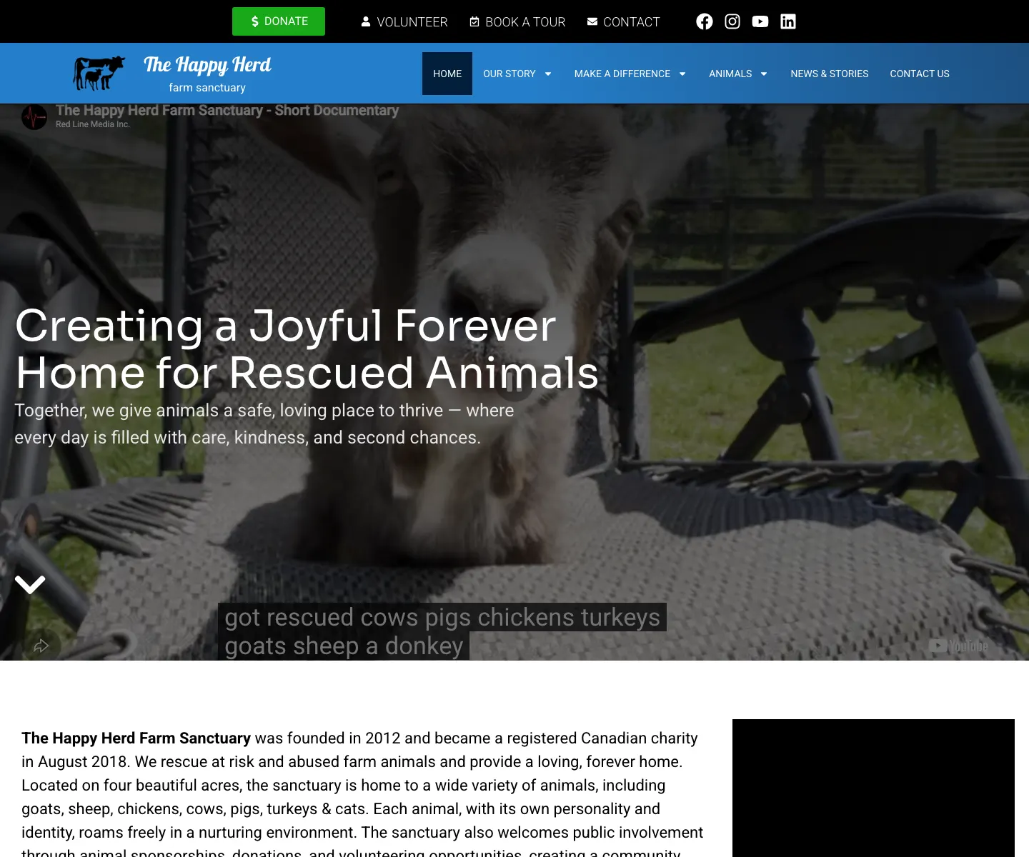 The Happy Herd Farm Sanctuary website designed by IIAS for donations, tours, and animal stories