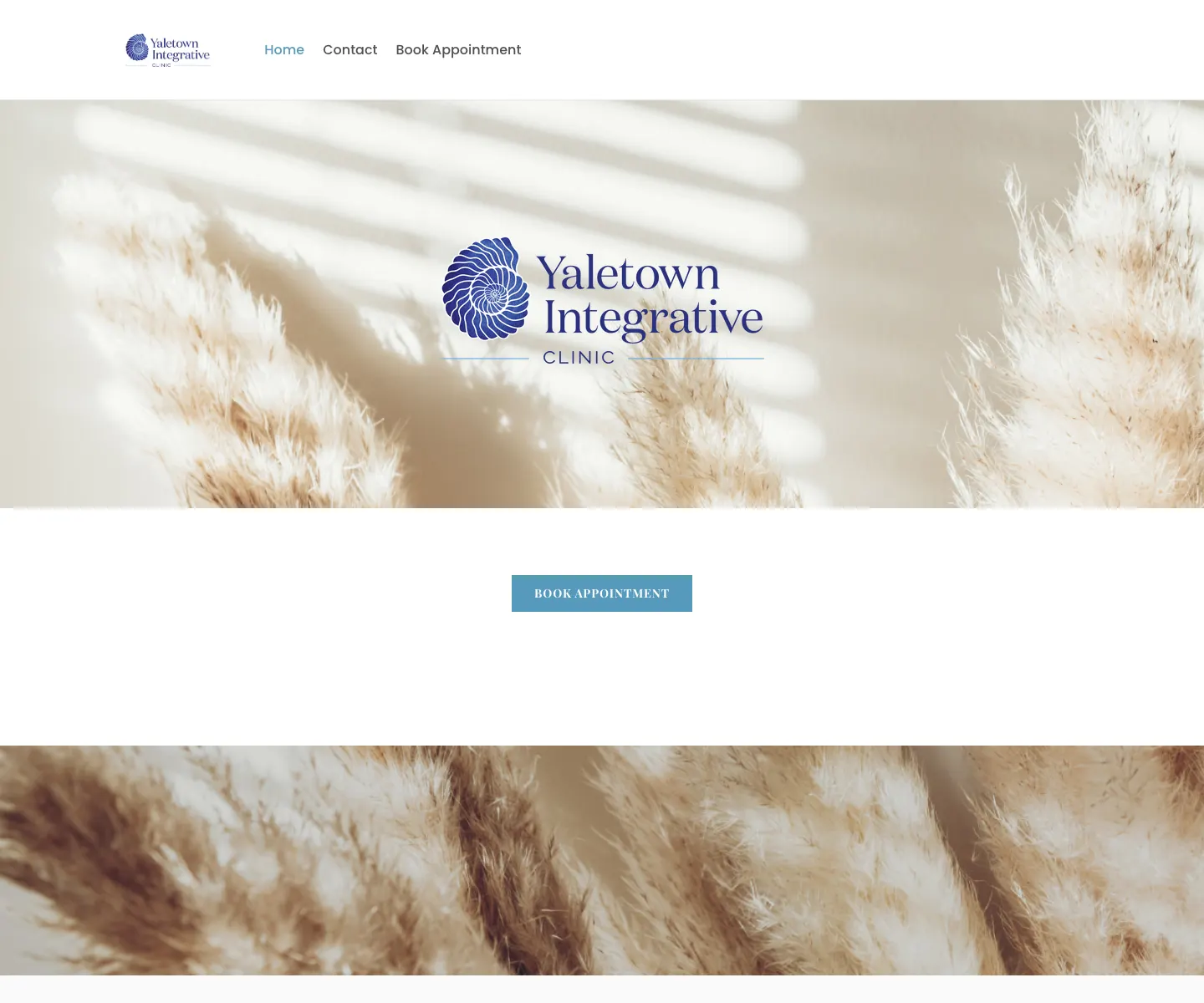 Yaletown Integrative Clinic SEO case study for Vancouver naturopathic search