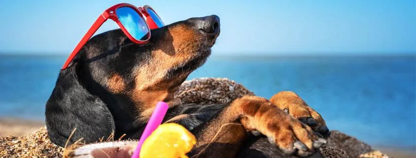 6 Ways to add Some Sizzle to Your Summer!