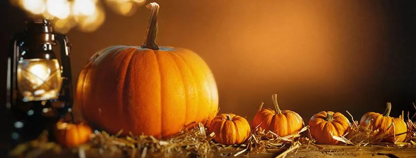 It’s Time to Plan your Fall and Winter Promotions