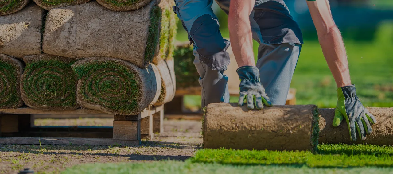 Mr. Lawn Google Ads case study for Lower Mainland landscaping leads