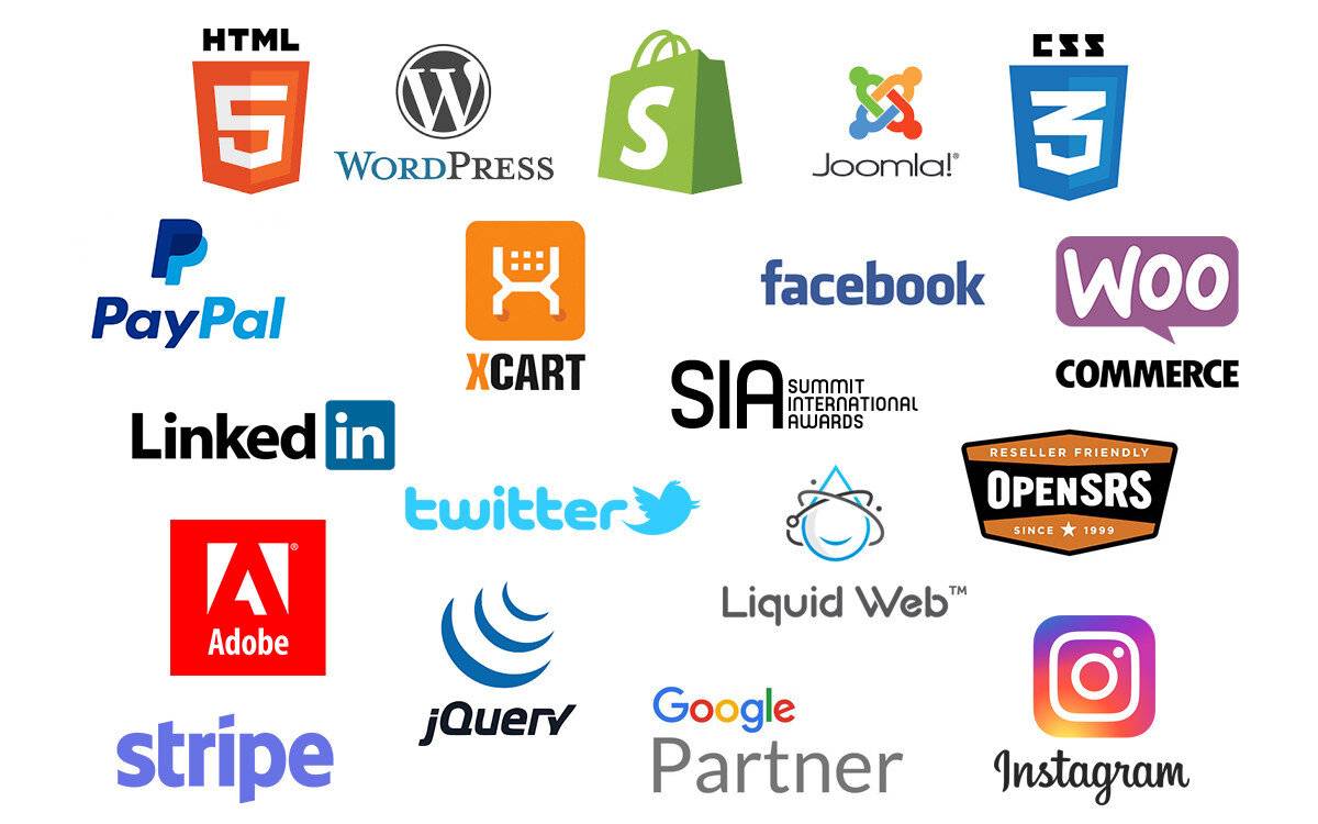 partners in our web design agency