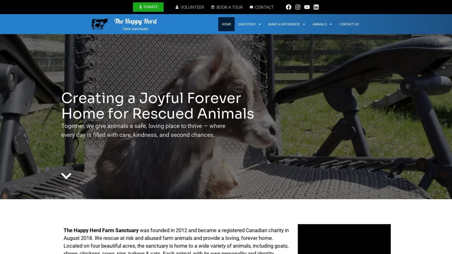 screenshot_home-the-happy-herd-we-provide-a-loving-and-forever-home-for_desktop_1920x1080_aHR0cHM6_2025-10-28T18-51-31-974Z