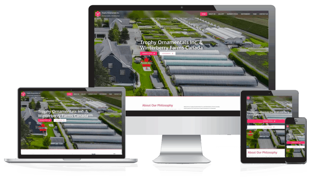 Image: Web Design Case Study:
