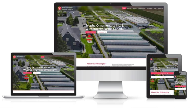 Image for Case Studies - New Test