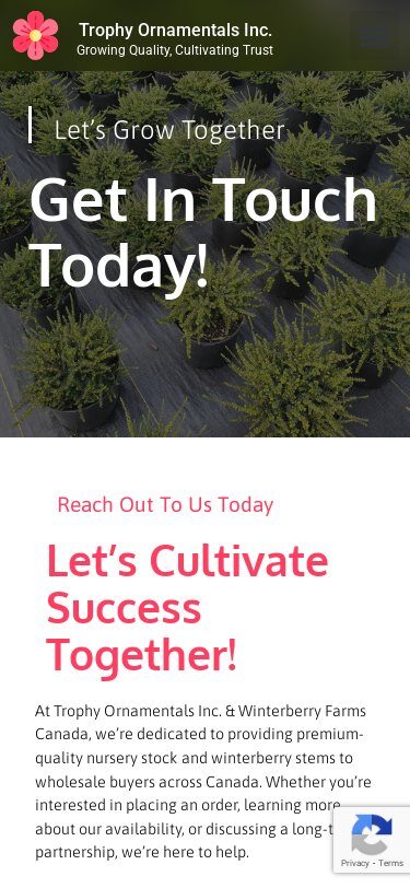 Image: Solutions We Delivered