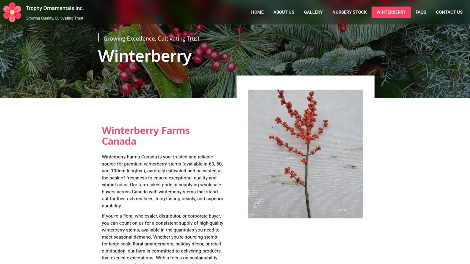 screenshot_winterberry_desktop_1920x1080_aHR0cHM6_2025-10-28T14-43-29-303Z